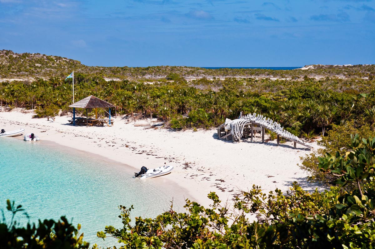 yacht charter Florida